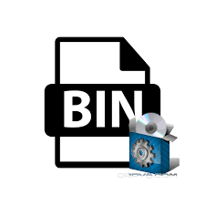BIN Files